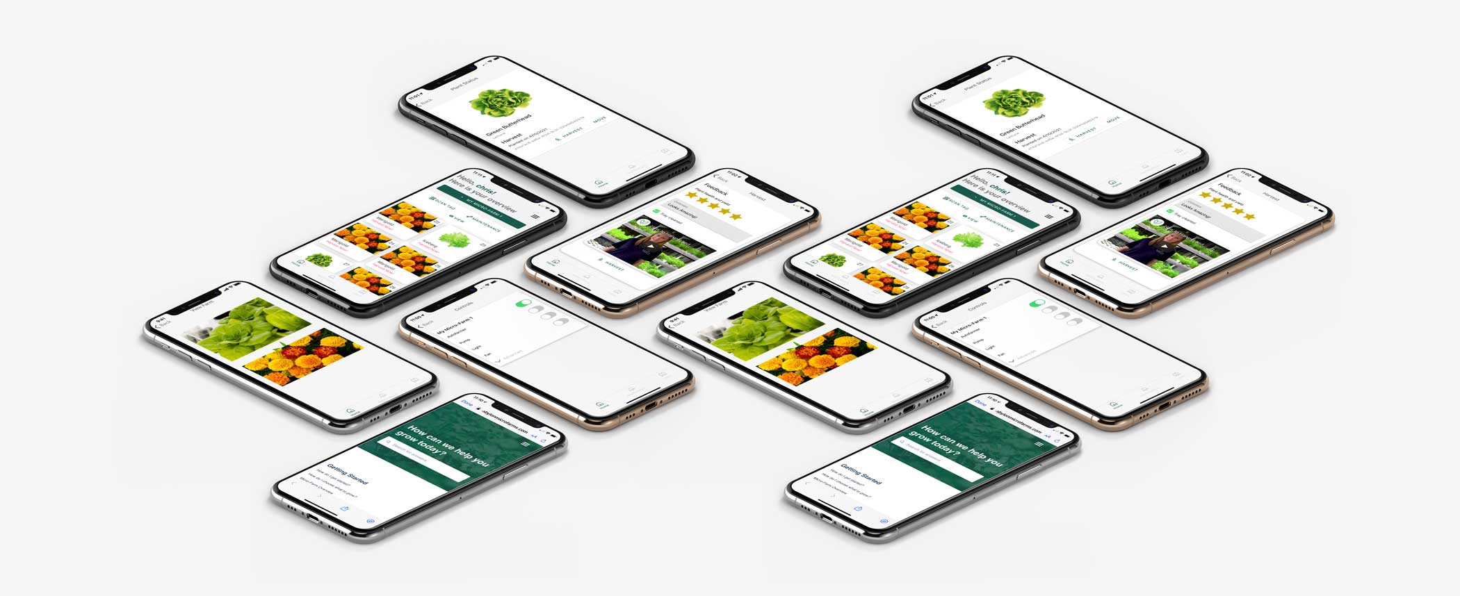 Babylon-Cloud-Farm_app