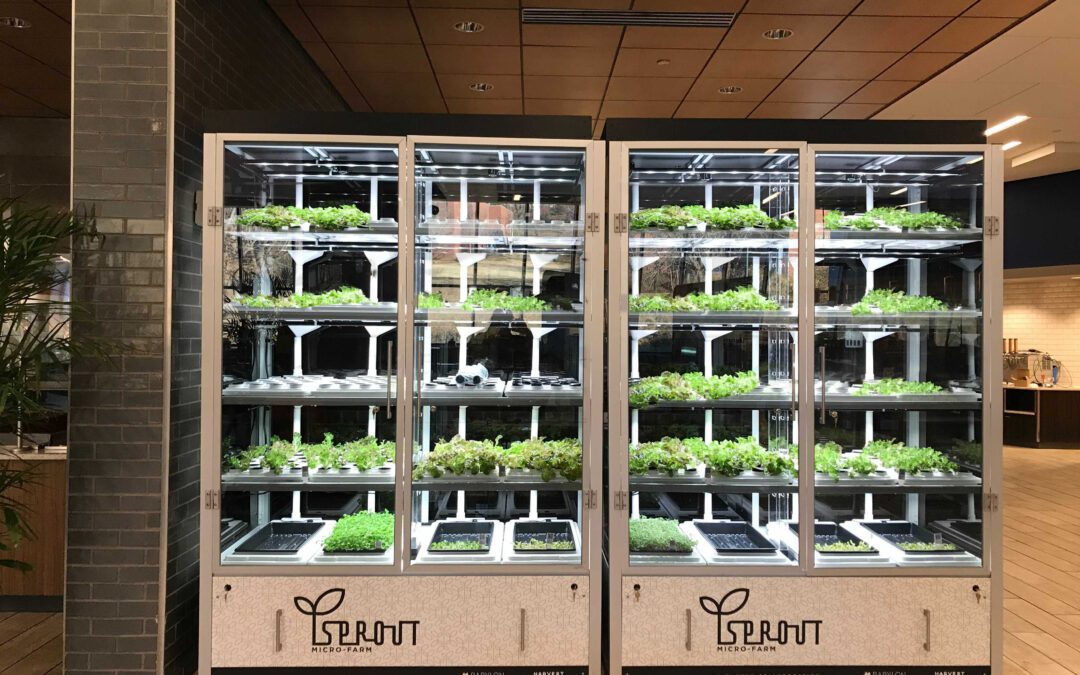 BABYLON MICRO-FARMS PARTNERS WITH ARAMARK AND TOP SOUTHERN UNIVERSITIES; INCREASING STUDENT ENGAGEMENT IN A HEALTHY WAY