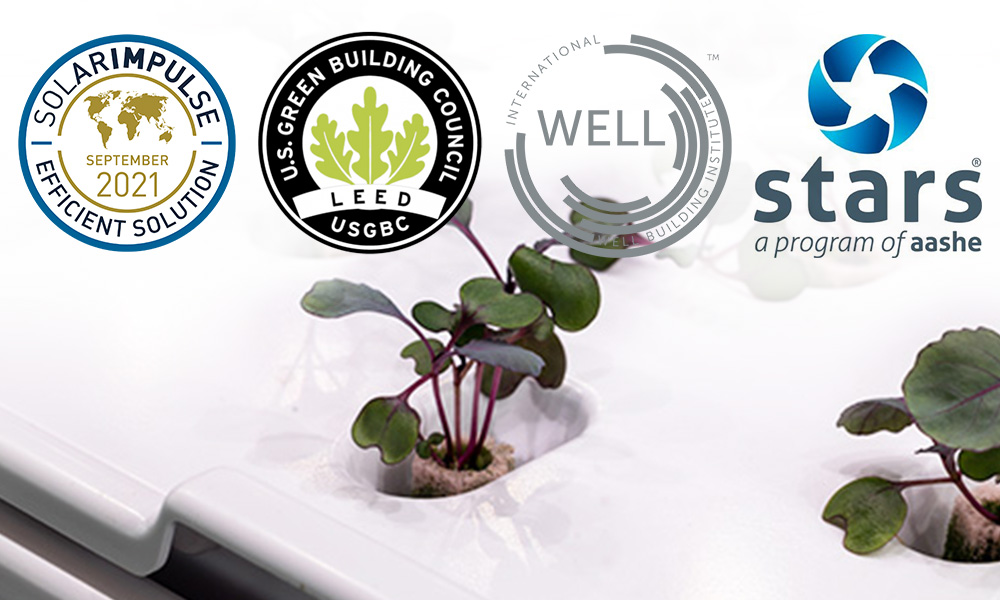 Wellness Cert Combined