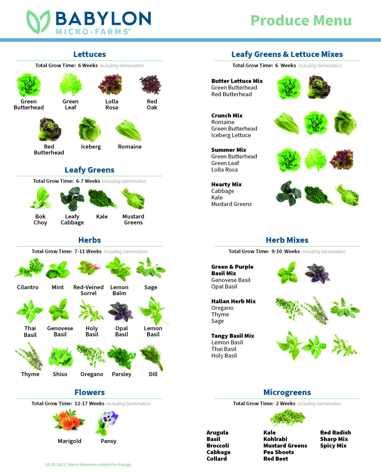 Our Produce: Greens, Herbs, and Flowers - Babylon Micro-Farms