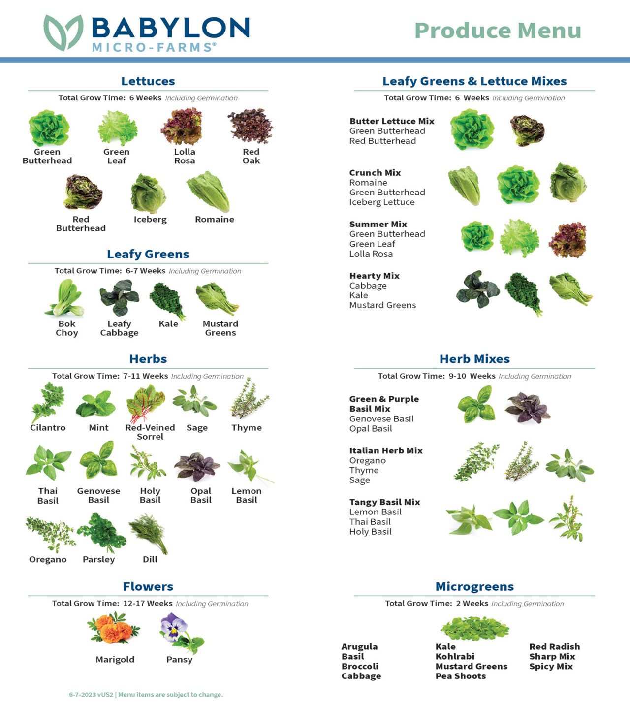 Our Produce: Greens, Herbs, and Flowers - Babylon Micro-Farms